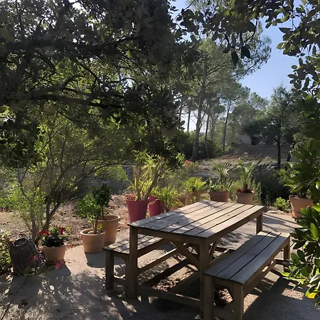 Le Clos Des Cigales - 3*